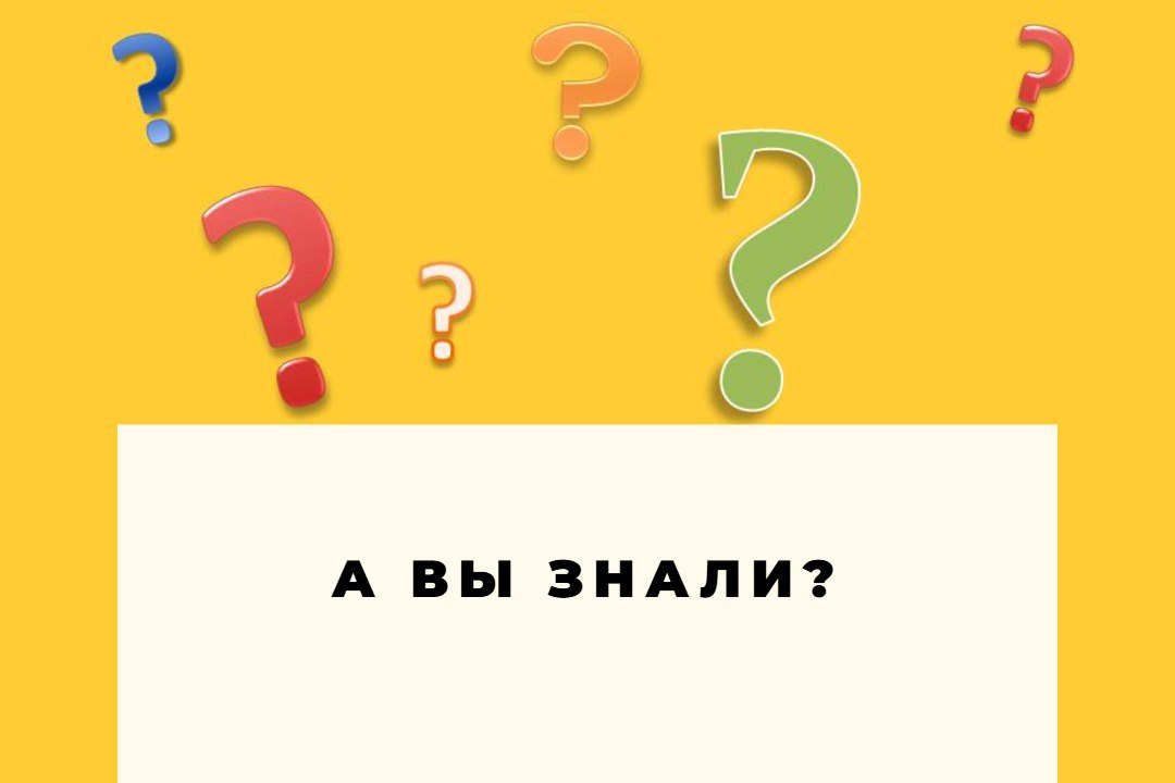 а вы знали_04.07.25.jpg